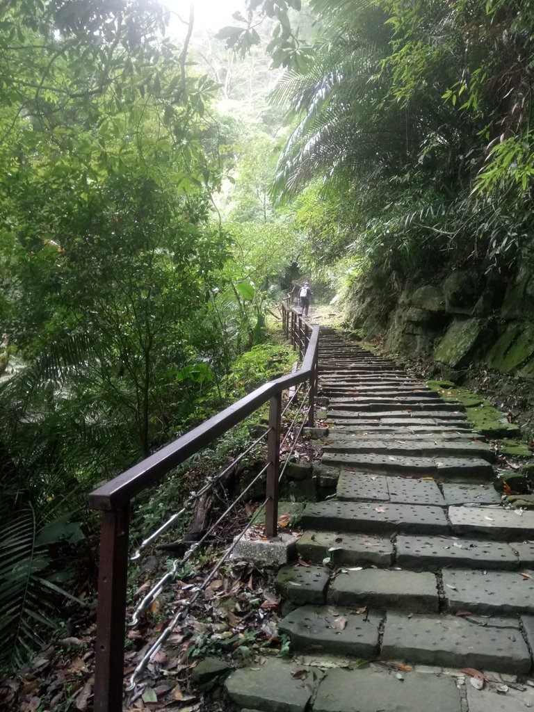 DSC_2843.JPG - 獅頭山  獅山古道  (02)