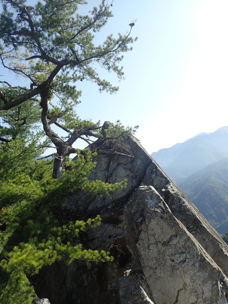 P3167230.JPG - 谷關  東卯山東南稜