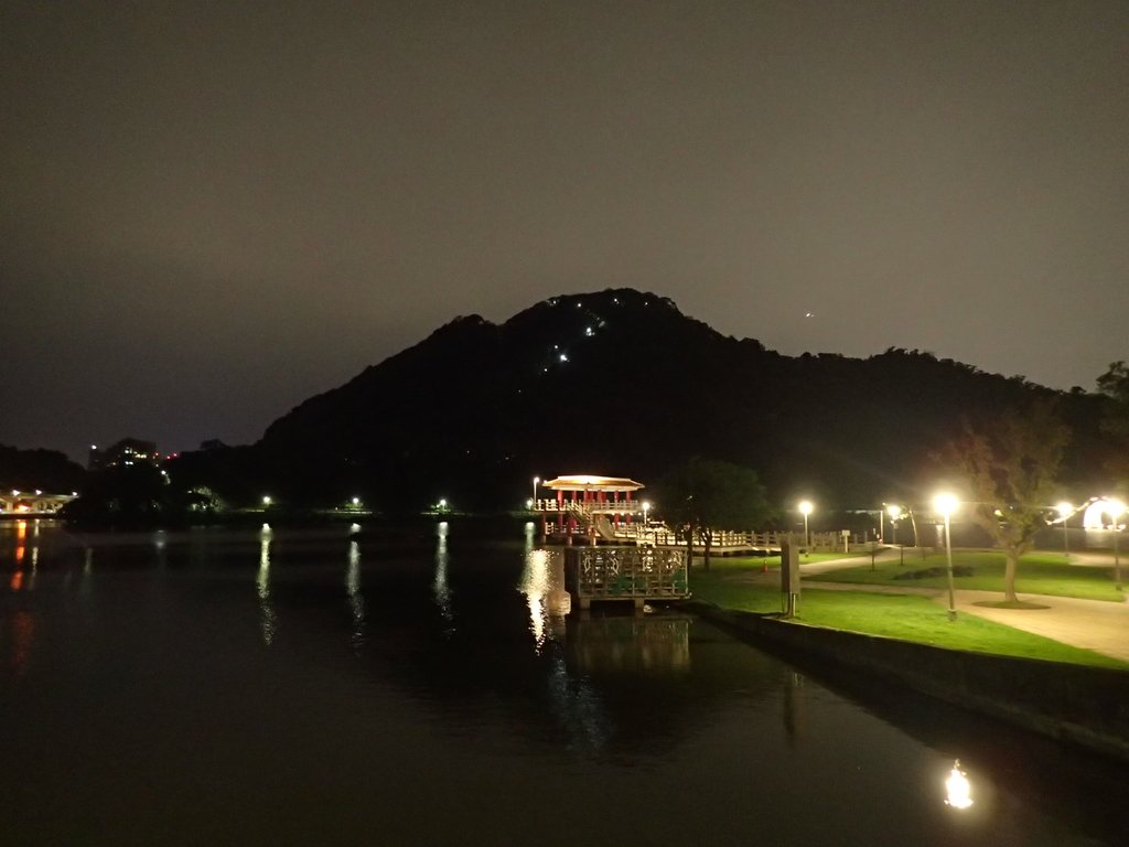 P3117002.JPG - 內湖  大湖公園之夜色