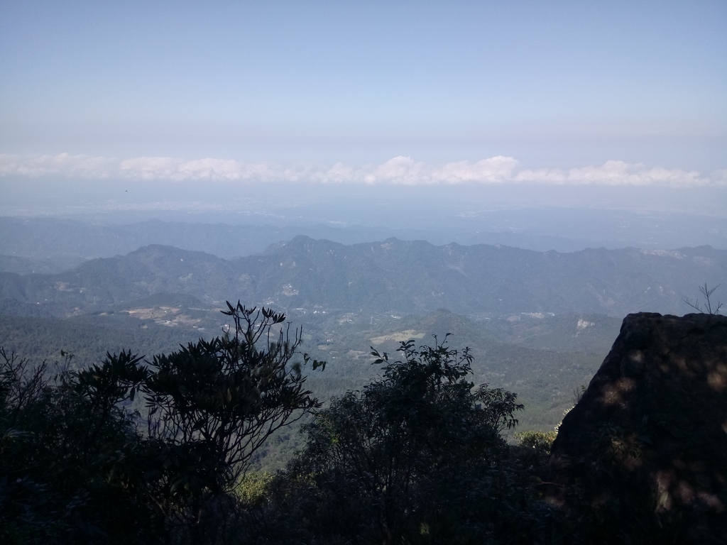 DSC_3628.JPG - 南庄  大坪林道  杜鵑嶺