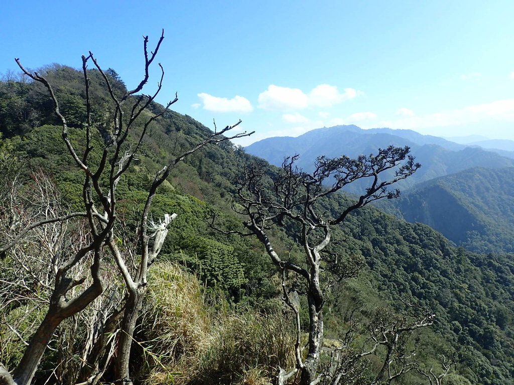 P2034821.JPG - 南庄  加里山