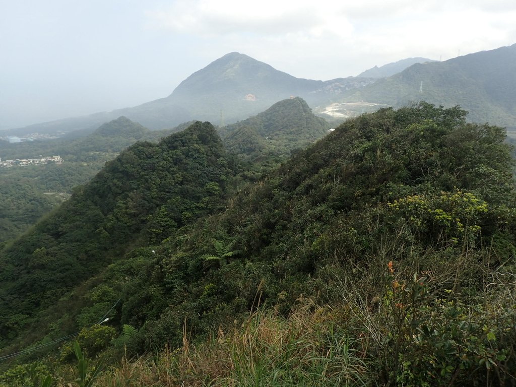 P2145393.JPG - 秀崎山  瑞芳山  龍潭山