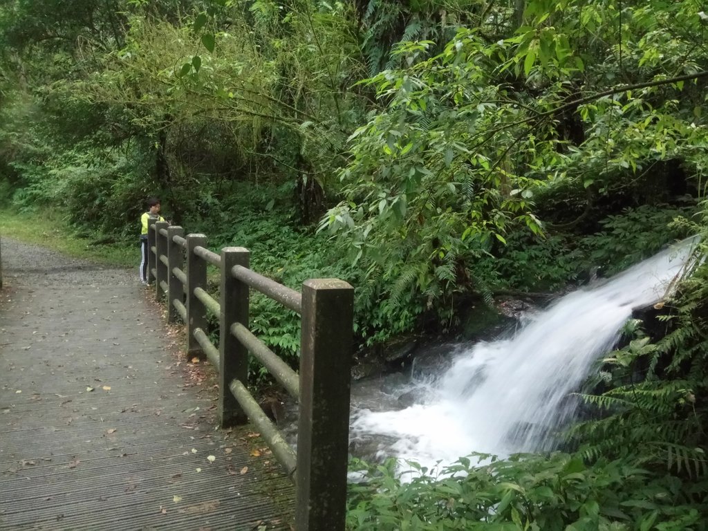 DSC_0147.JPG - 大同  松羅國家步道  (未竟)