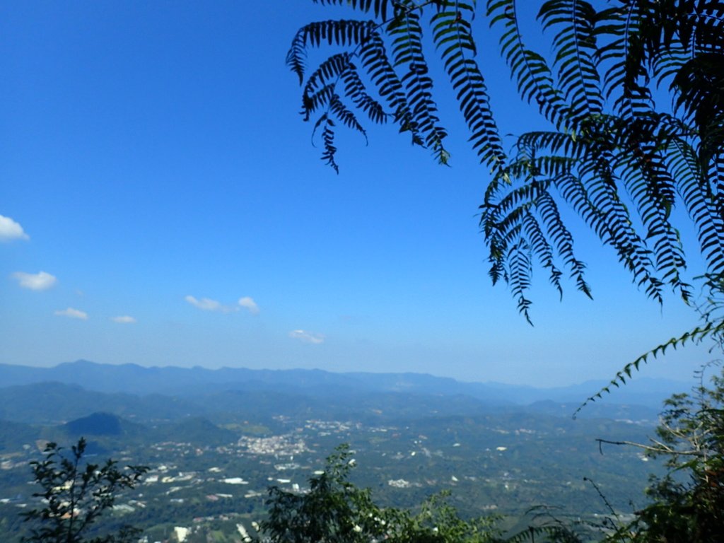 PA040384.JPG - 魚池  過坑山登山步道