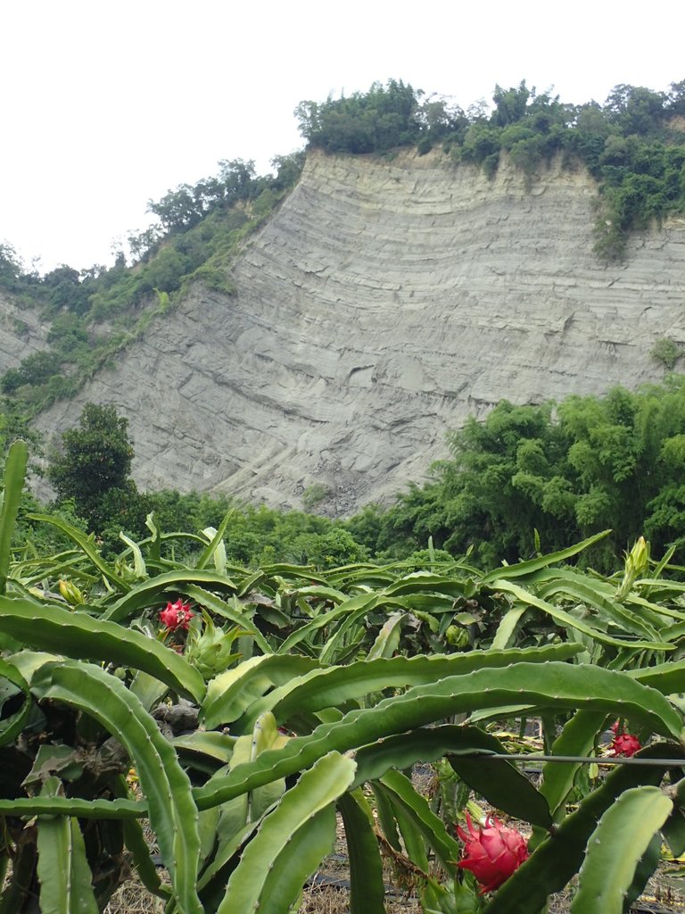 P6284998.JPG - 霧峰  烏溪北岸之  象鼻坑風光