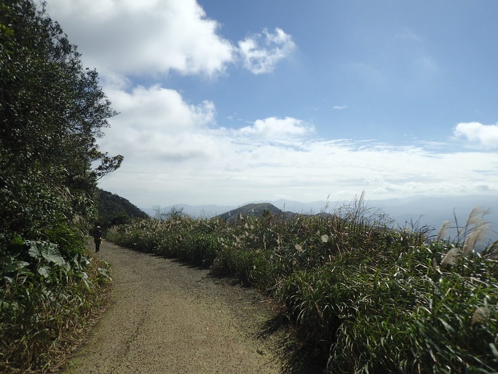 P1216553.JPG - 瑞芳  草山戰備道  (01)