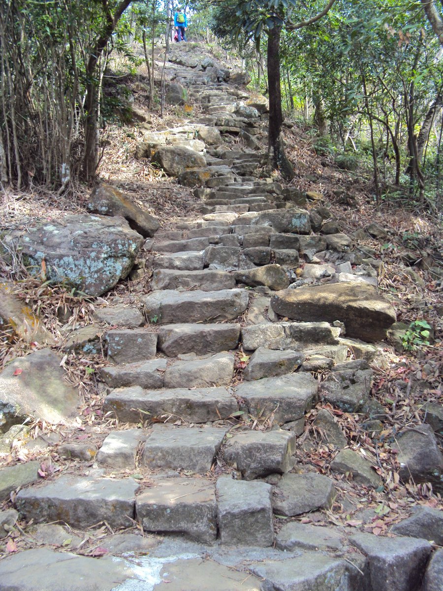 DSC06668.JPG - 內湖  金面山步道