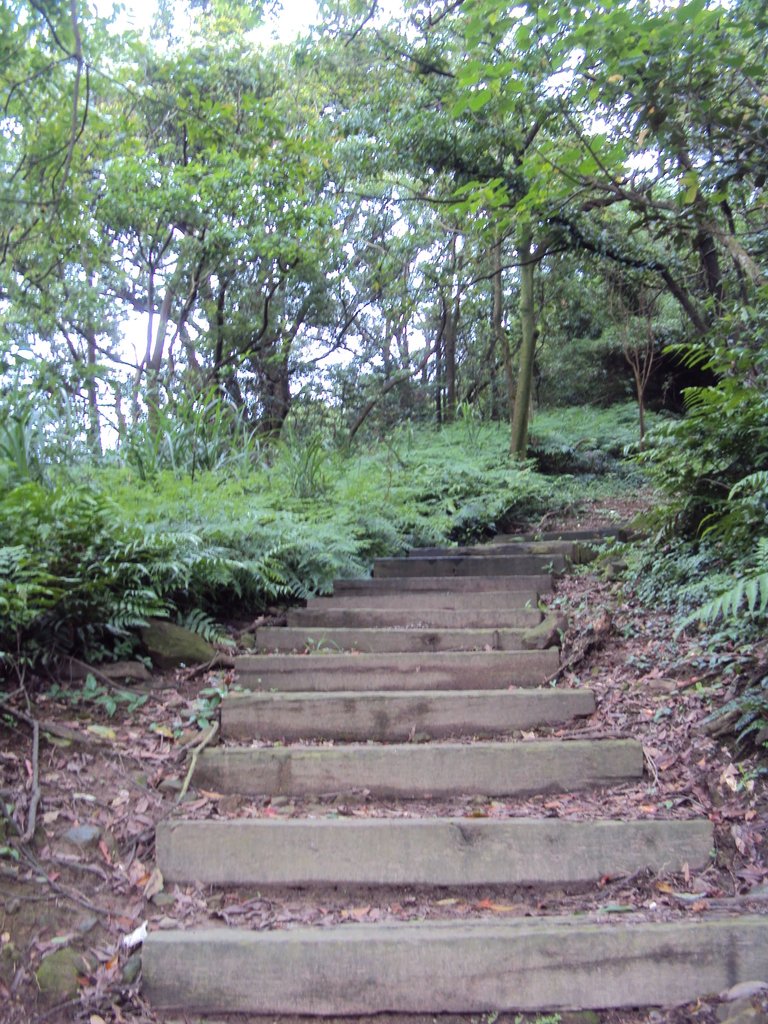 DSC07602.JPG - 瑞芳  粗坑口登山步道