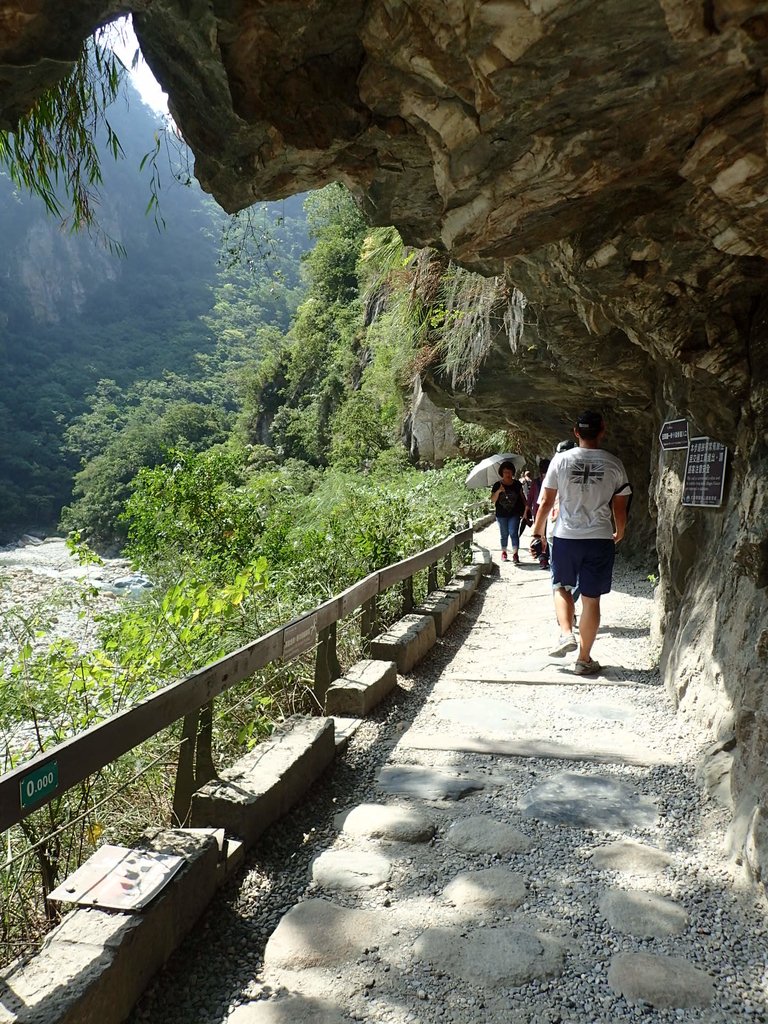 P8120260.JPG - 花蓮  秀林  砂卡噹步道