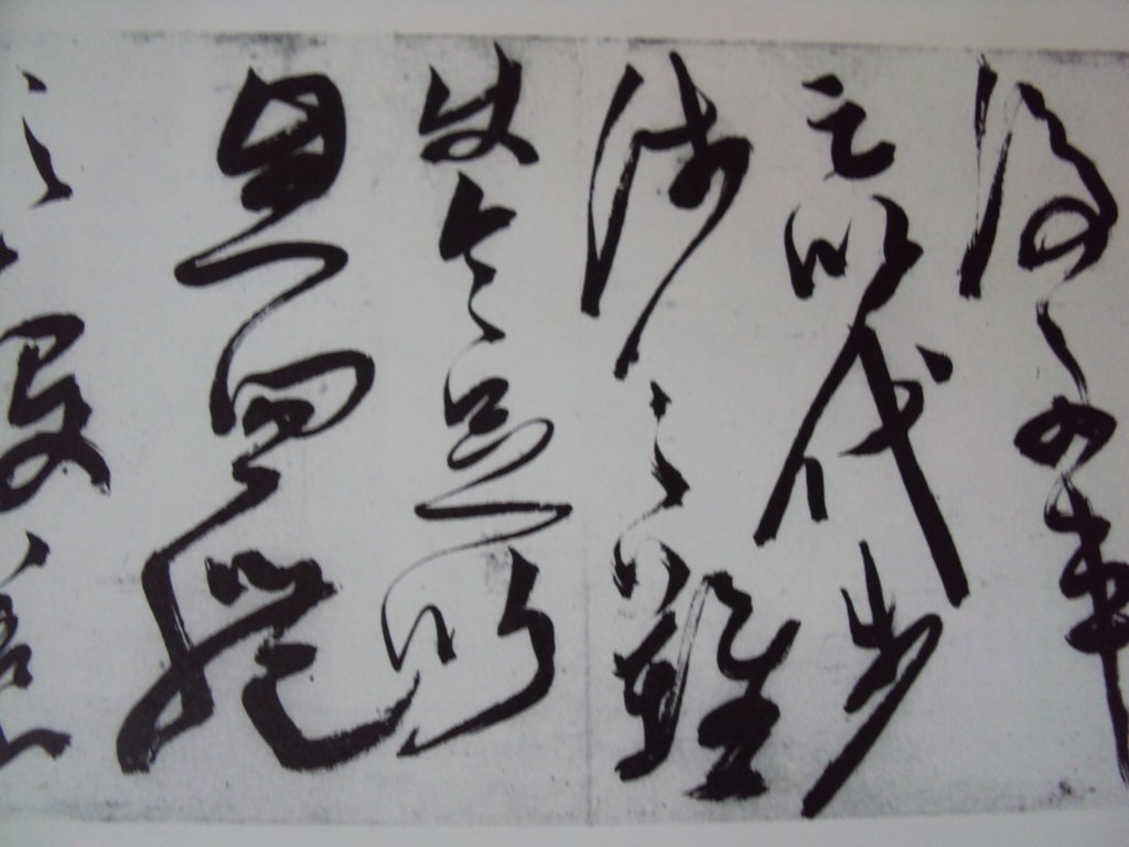 DSC00010.JPG - 陳淳的草書作品