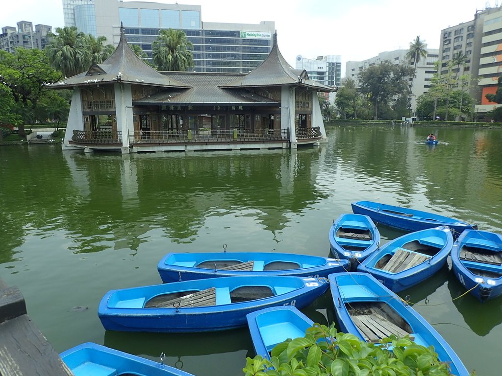 P4225074.JPG - 散步  台中公園一隅