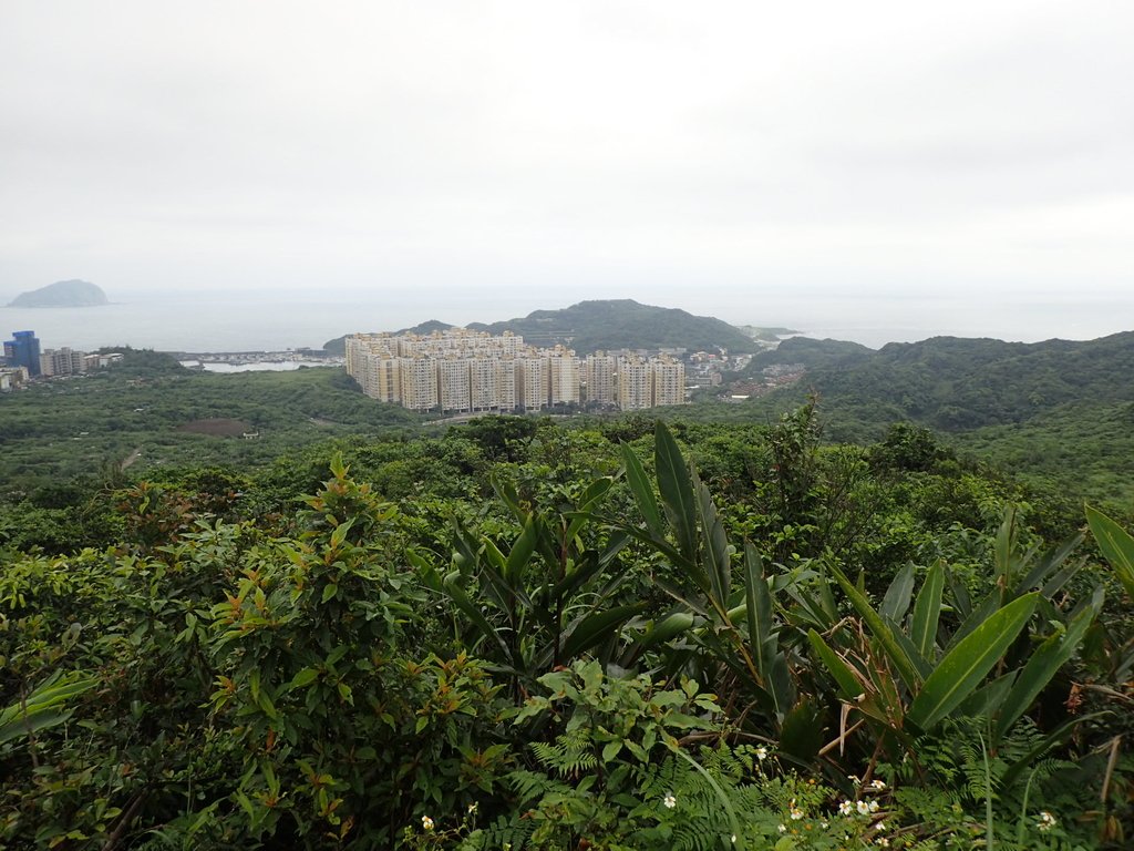 P4143572.JPG - 基隆  五坑山  總督嶺步道