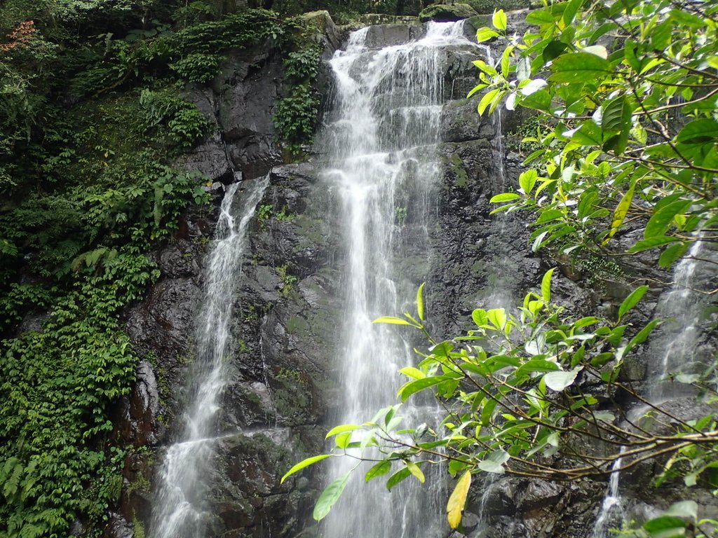 P3029006.JPG - 三峽  滿月圓森林遊樂區