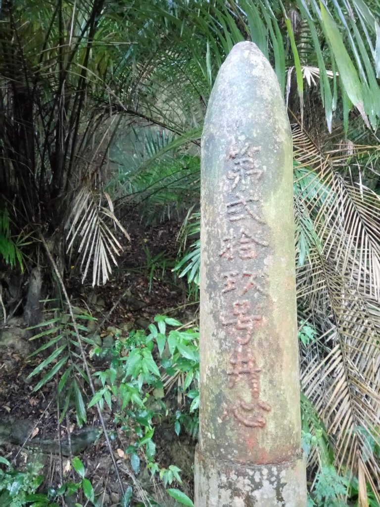 DSC_9631.JPG - 公館  出礦坑登山步道