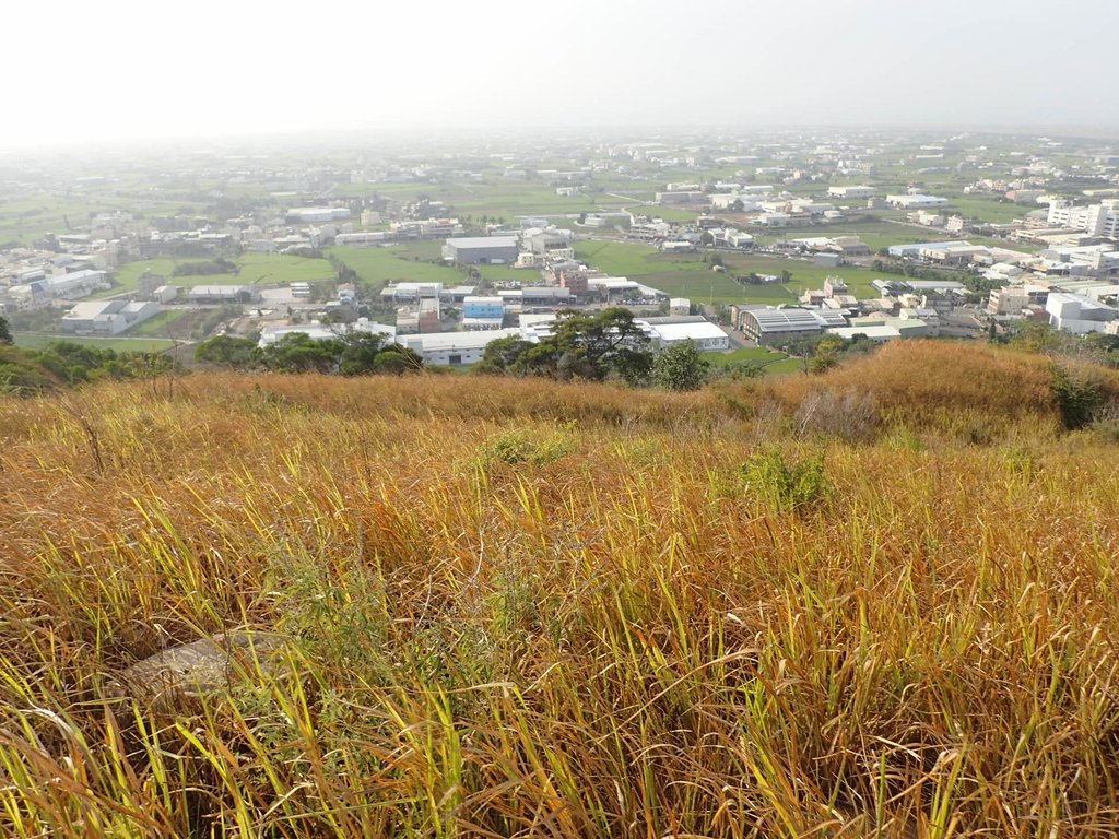 PA160965.JPG - 大甲  鐵砧山大草原