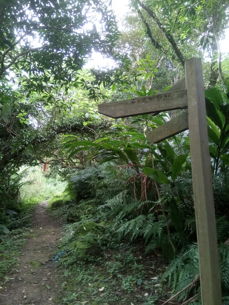 DSC_5988.JPG - 深坑  土庫岳登山步道  (01)