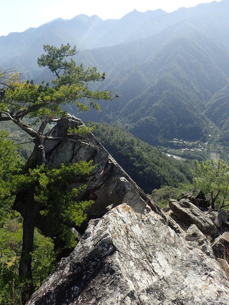 P3167236.JPG - 谷關  東卯山東南稜