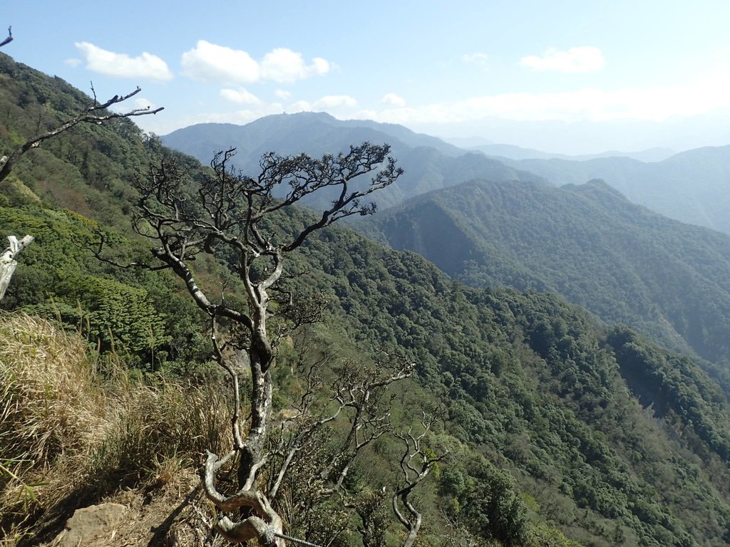 P2034822.JPG - 南庄  加里山