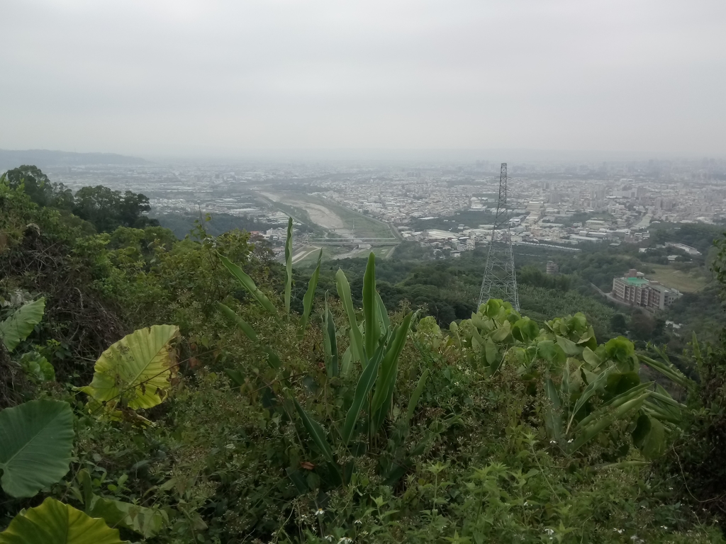 DSC_4492.JPG - 太平  三汀山  (望高寮)