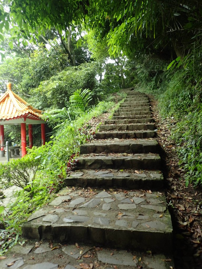 P4272121.JPG - 芎林  飛鳳山  (中坑山)