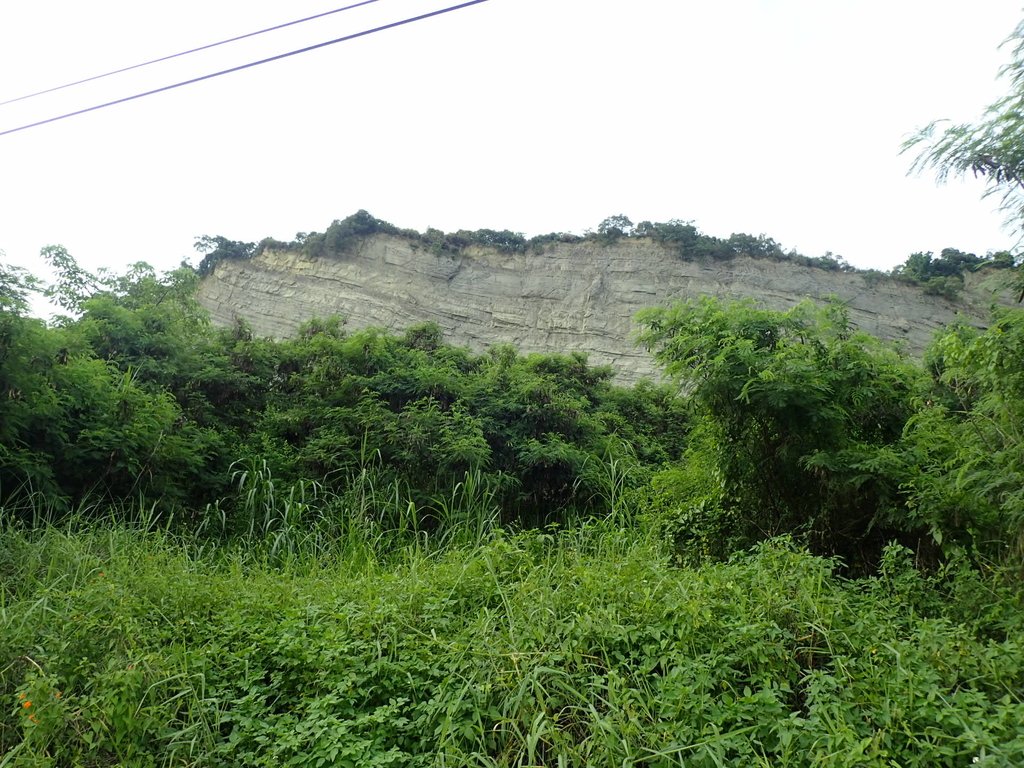 P6284999.JPG - 霧峰  烏溪北岸之  象鼻坑風光