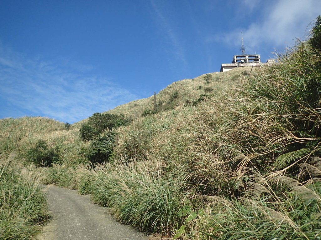 P1216554.JPG - 瑞芳  草山戰備道  (01)