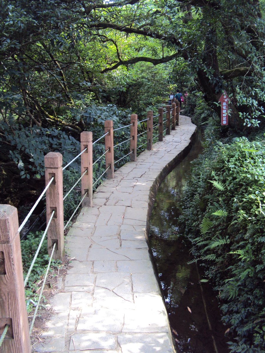 DSC08418.JPG - 水車寮  高家繡球花園