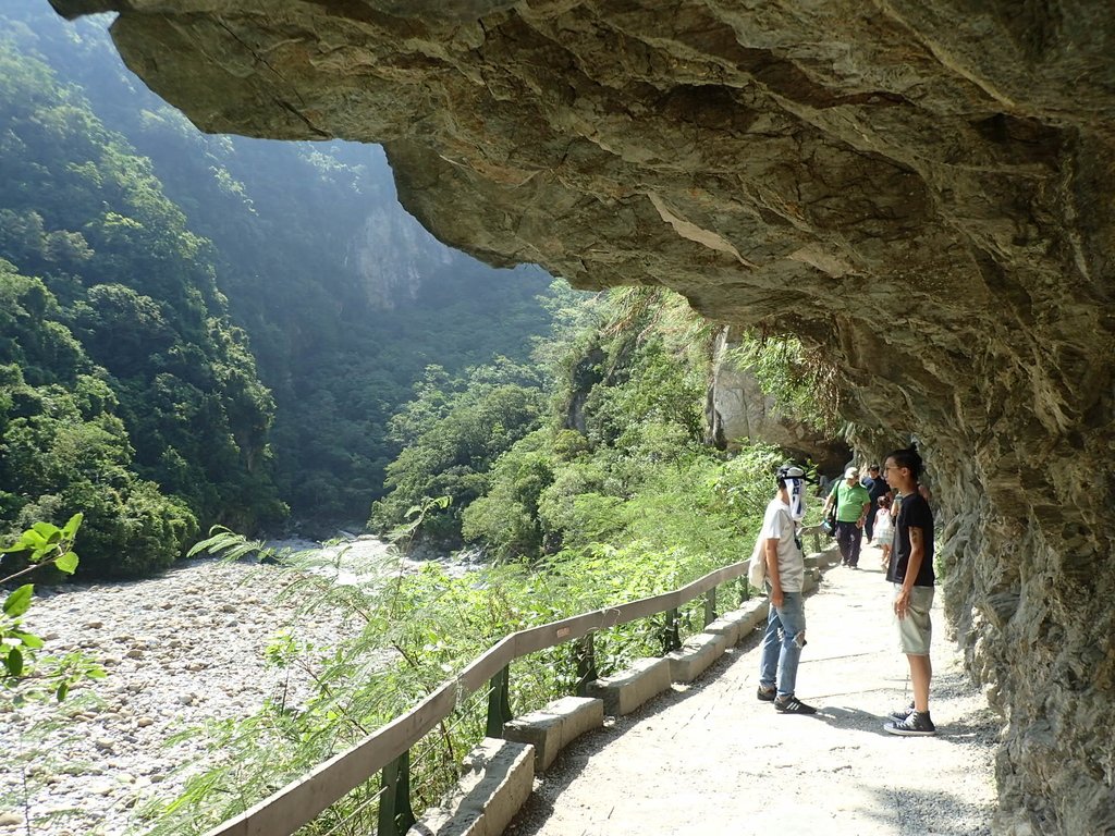 P8120264.JPG - 花蓮  秀林  砂卡噹步道