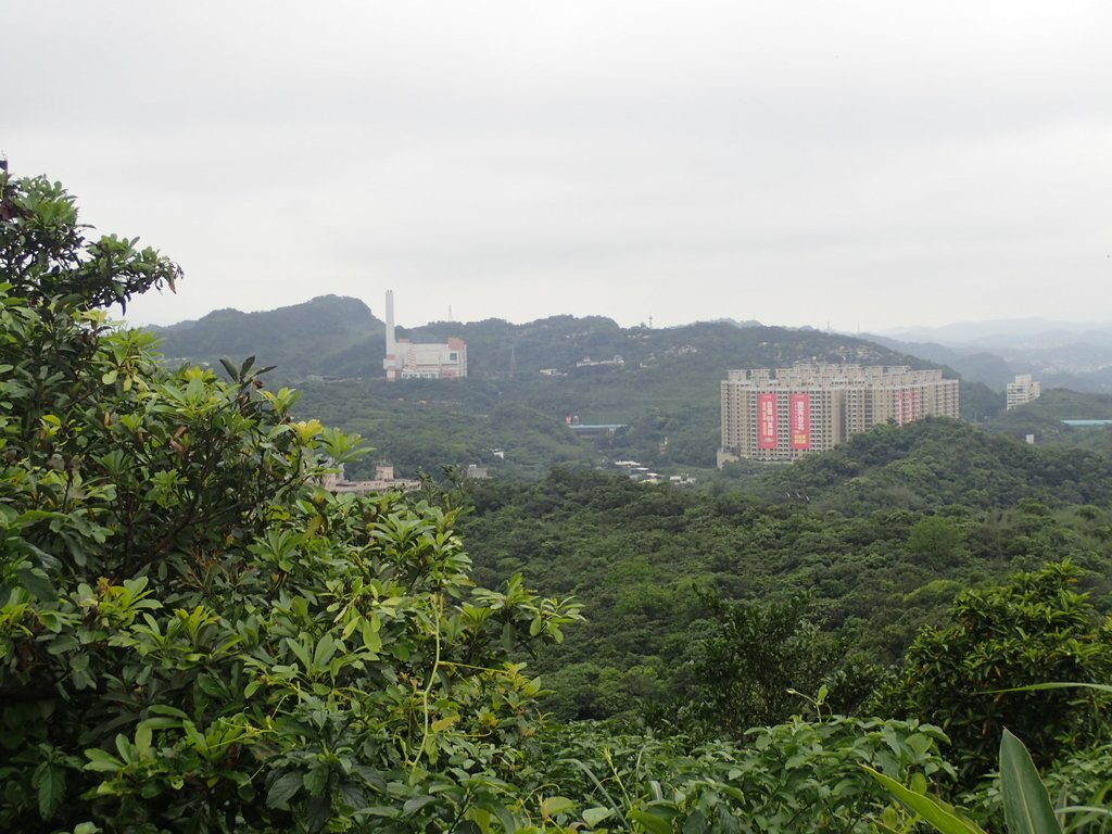 P4143575.JPG - 基隆  五坑山  總督嶺步道