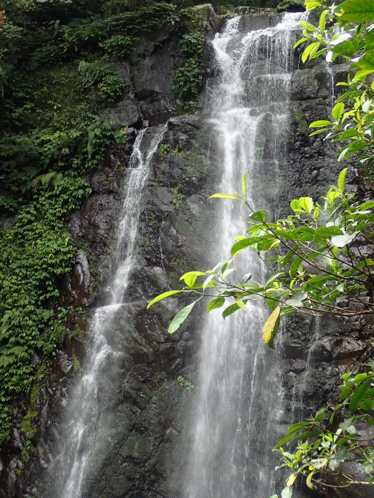 P3029007.JPG - 三峽  滿月圓森林遊樂區