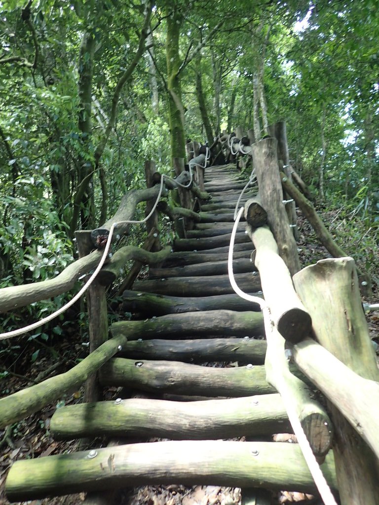 P5117179.JPG - 大坑四號步道  頭嵙山