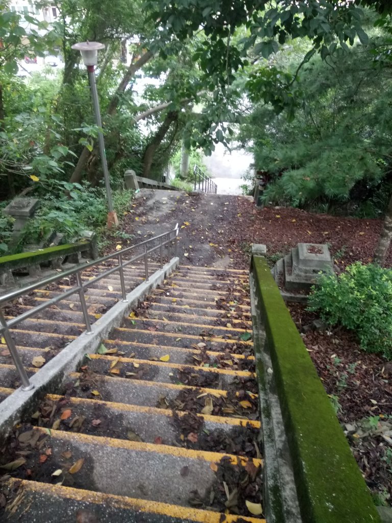 DSC_9005.JPG - 苗栗  稻荷神社遺址