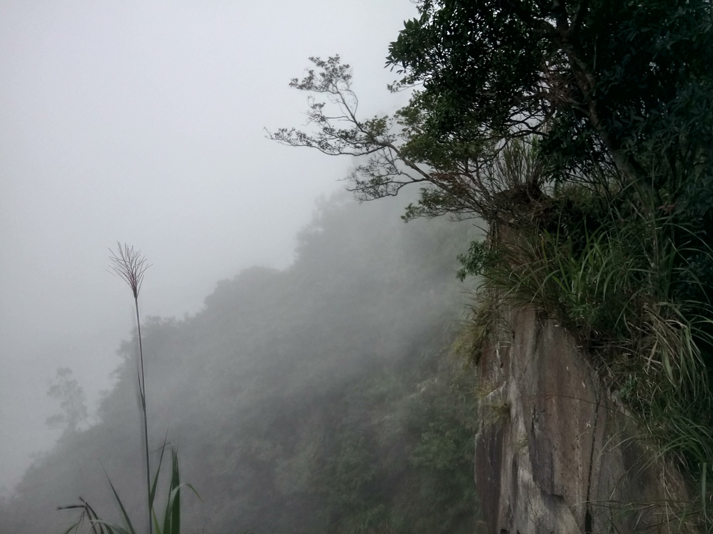 DSC_1260.JPG - 石壁山  嘉南雲峰步道