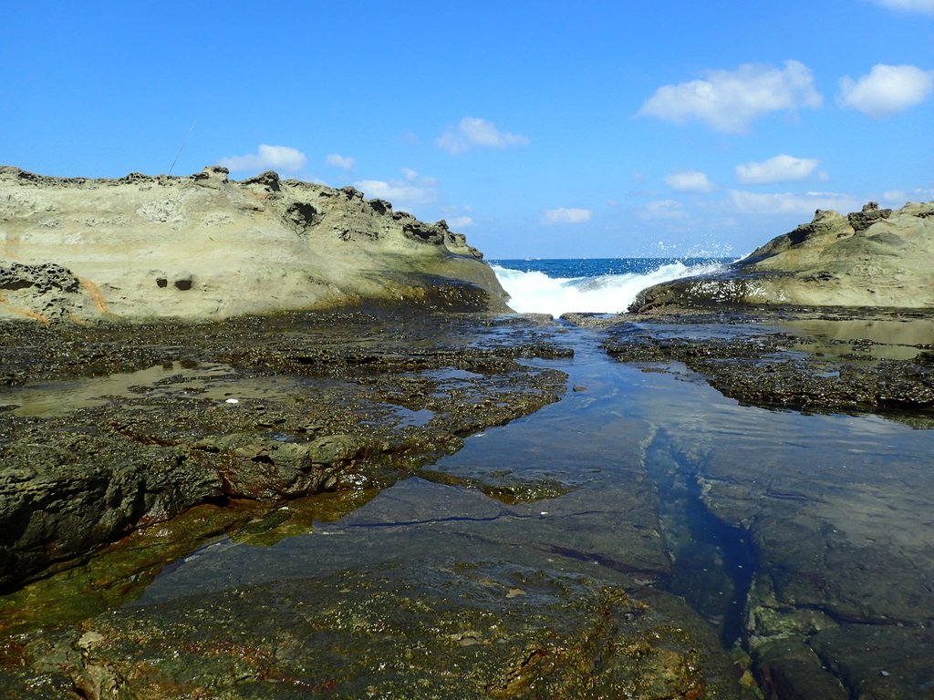 PA115046.JPG - 東北角海岸岩石之美  (03)