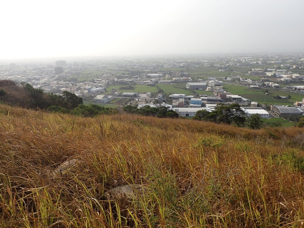 PA160968.JPG - 大甲  鐵砧山大草原