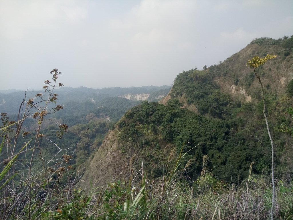 DSC_7363.JPG - 草屯平林  九九峰森林步道