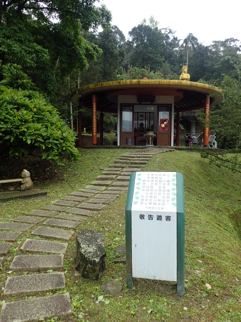 P3170348.JPG - 坪林  鬼子賴尖山