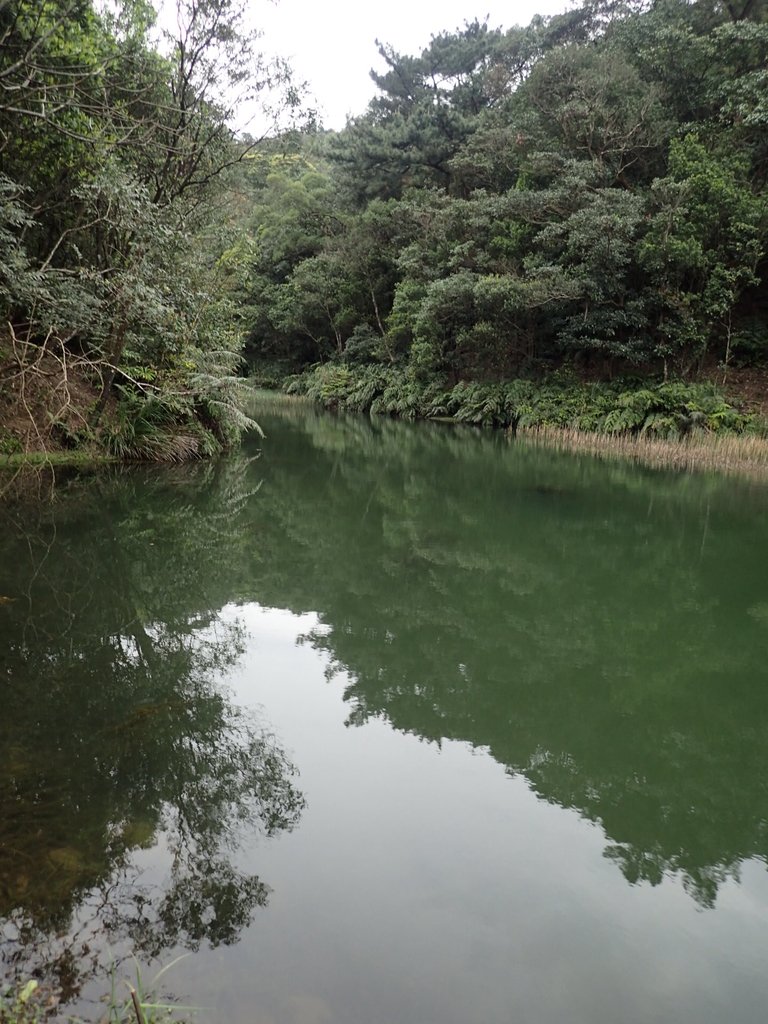 P3160114.JPG - 汐止  柯子林山  如意湖