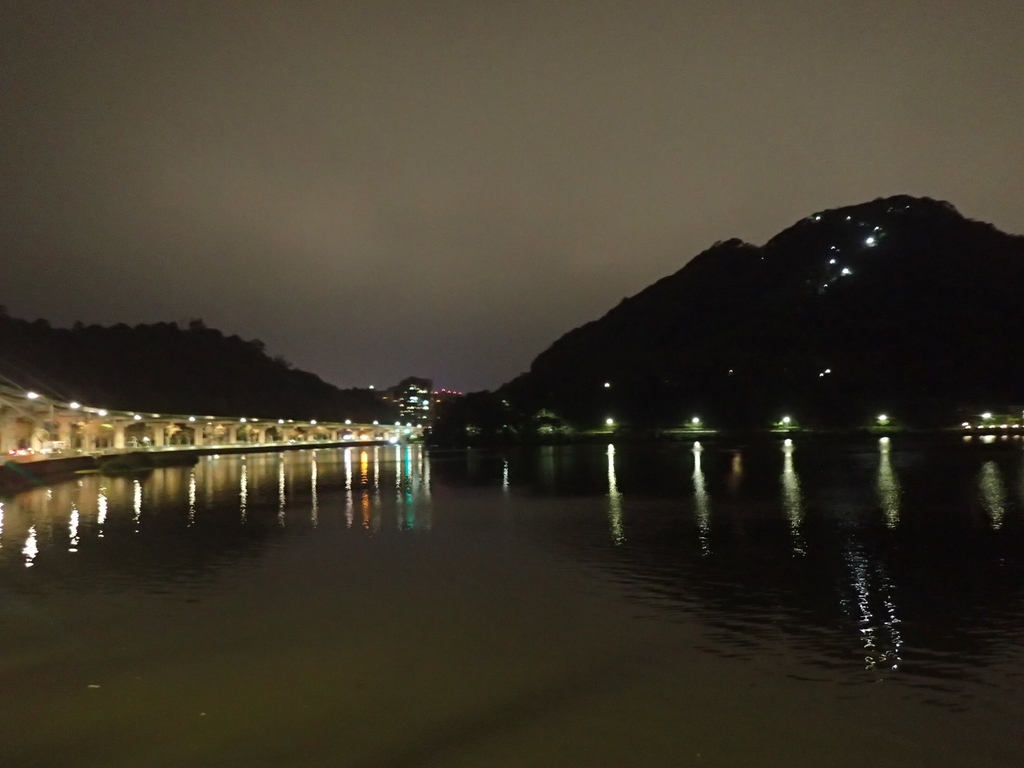 P3117015.JPG - 內湖  大湖公園之夜色