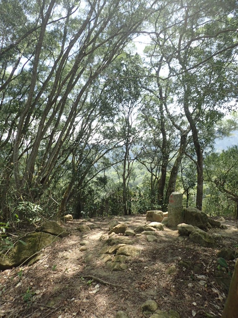 P4161455.JPG - 霧峰  青桐林生態園區