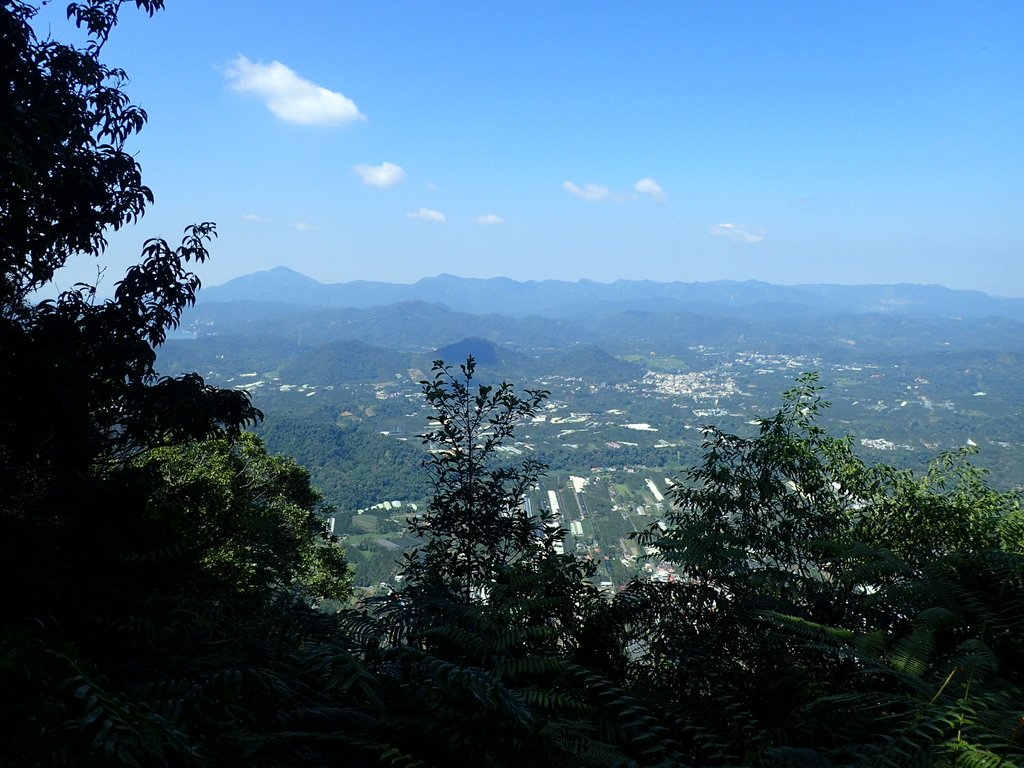 PA040386.JPG - 魚池  過坑山登山步道