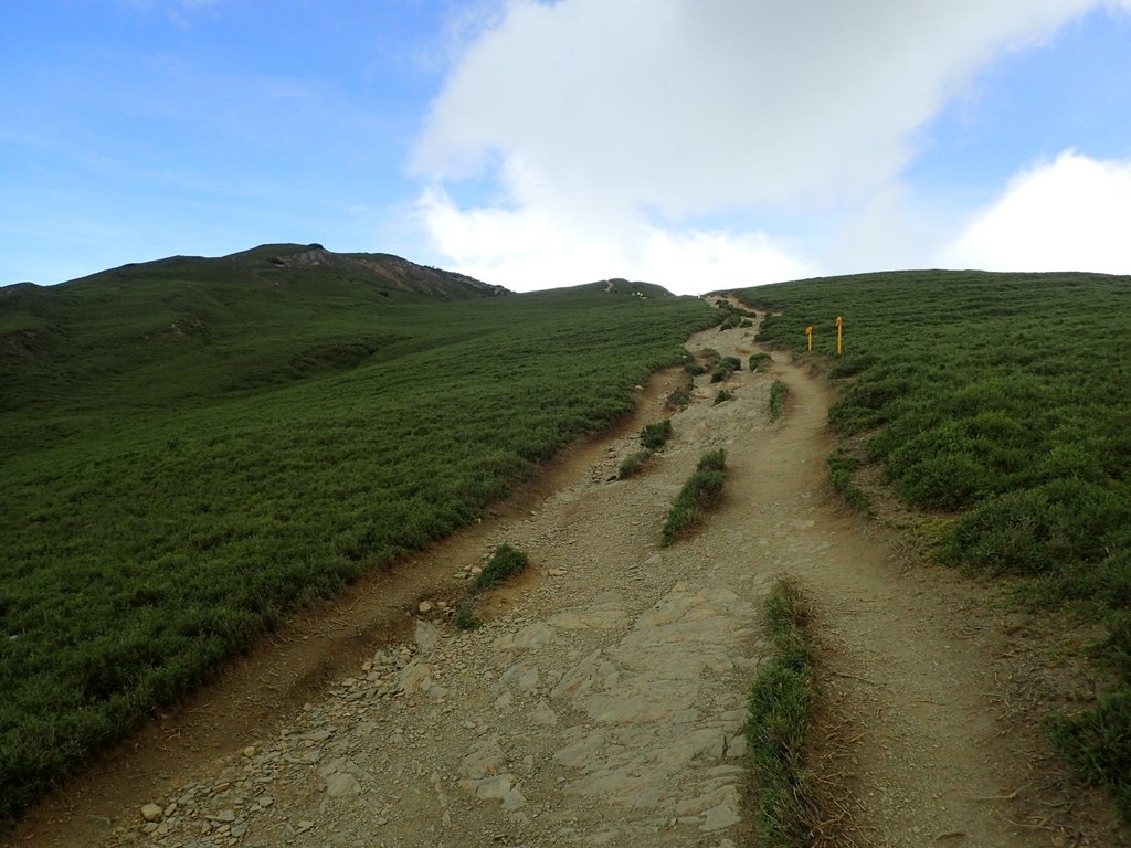 P7245976.JPG - 合歡山  北峰之美  (中)