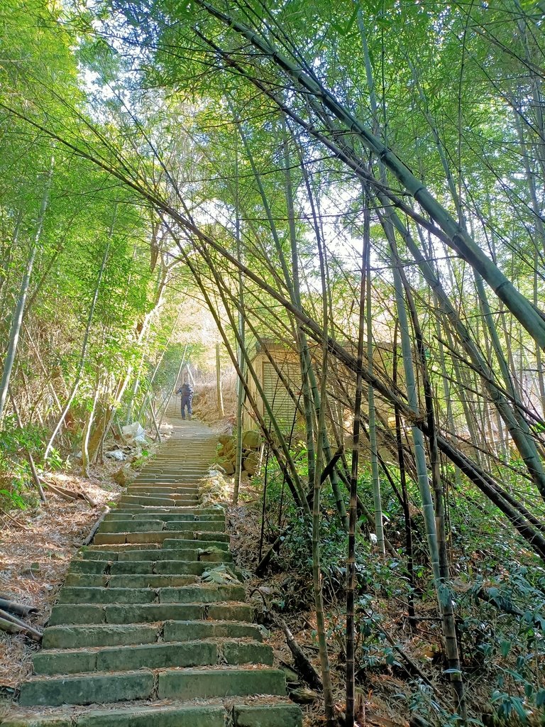 IMG20210130090811.jpg - 雲嘉連峰之  太平山  梨子腳山