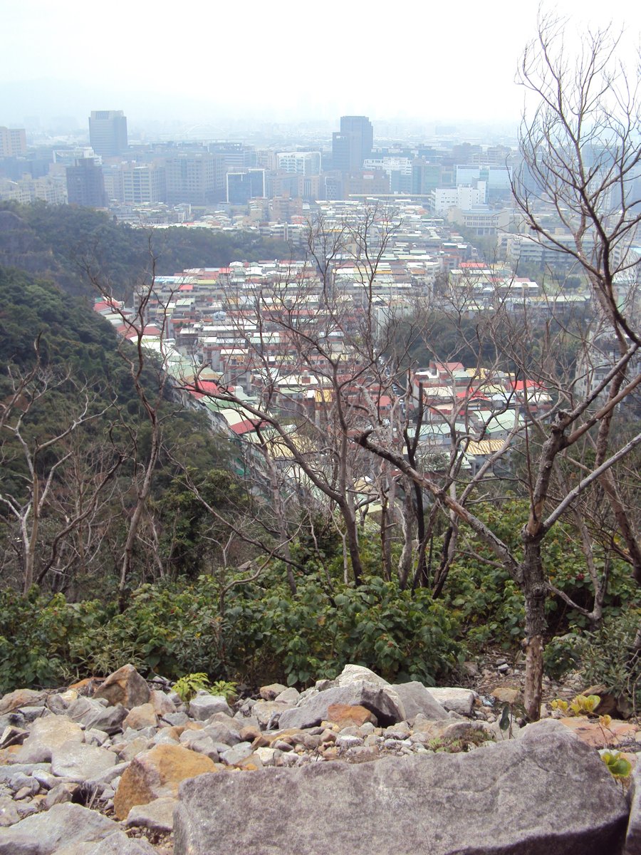 DSC06679.JPG - 內湖  金面山步道