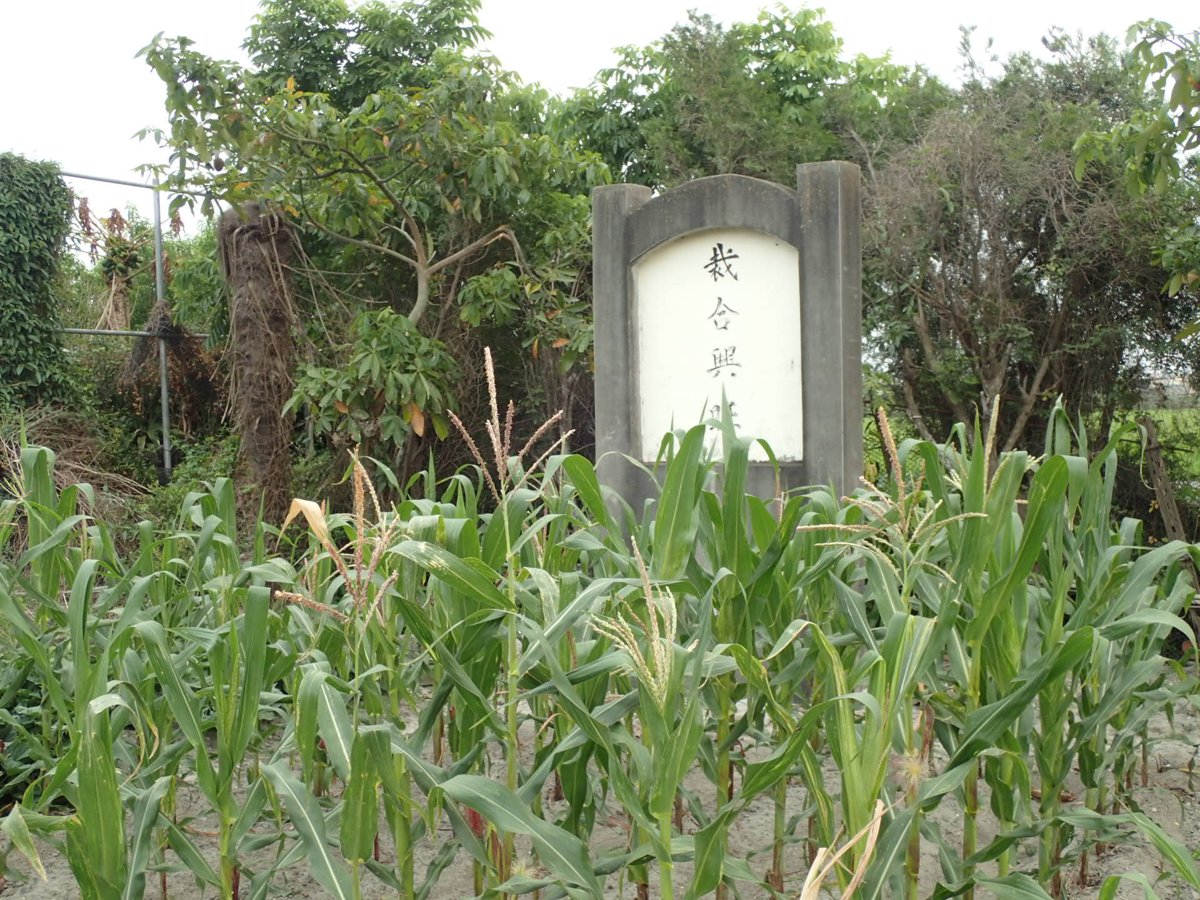 P4130237.JPG - 竹塘  樹腳村  詹家古厝