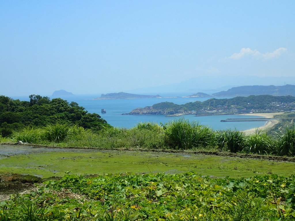 P7296136.JPG - 金山  西勢湖  遠眺中角灣