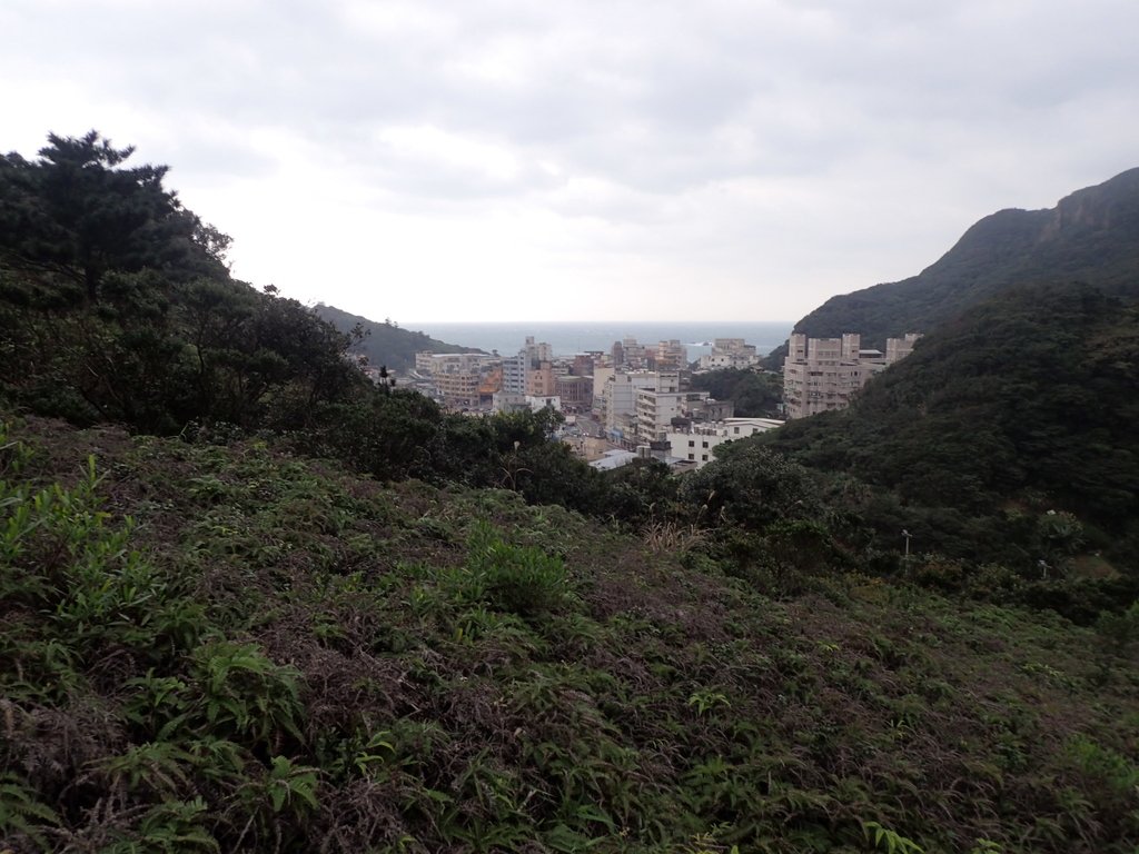 P1264004.JPG - 野柳  北八斗山稜線步道