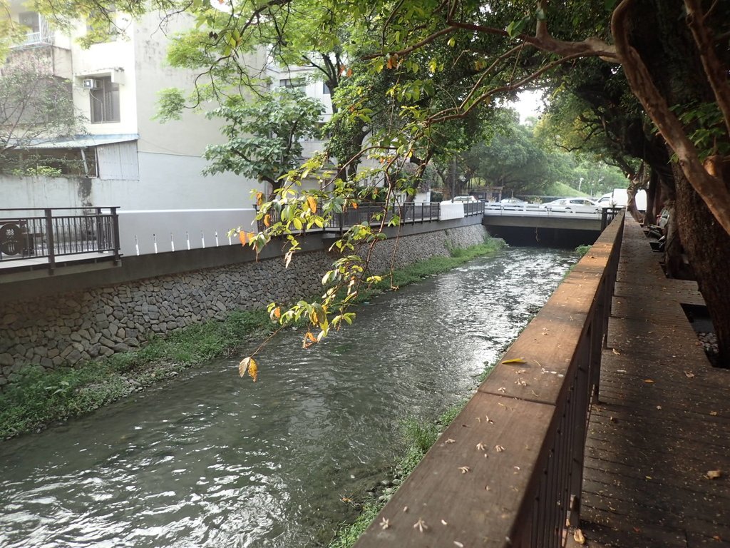 P4092785.JPG - 台中  街路隨拍  (06)