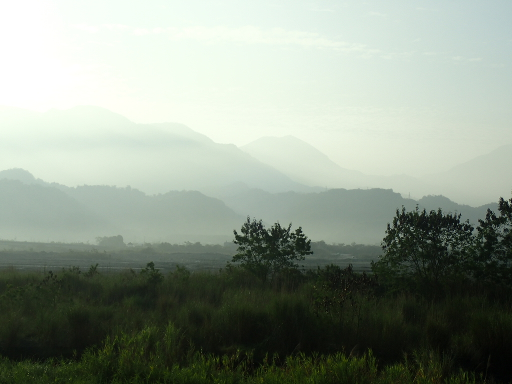 P1073072.JPG - 集集  集鹿大橋  晨光之美