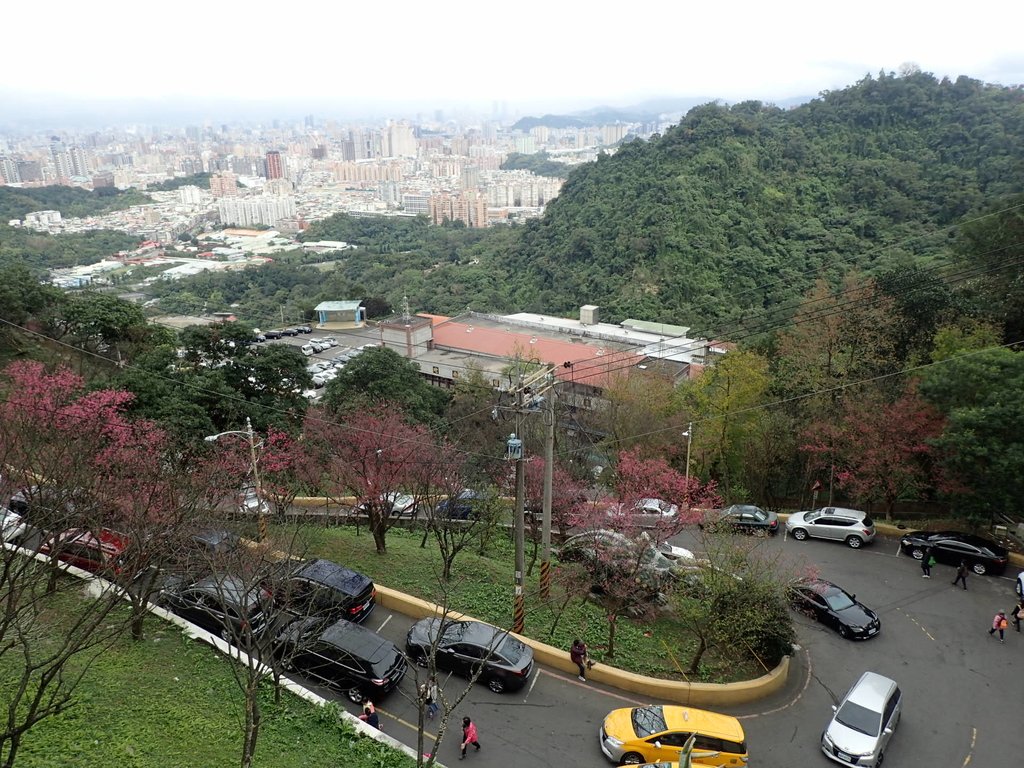 P2178240.JPG - 中和  南勢角山  (烘爐地)